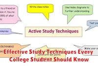 Effective Study Techniques Every College Student Should Know