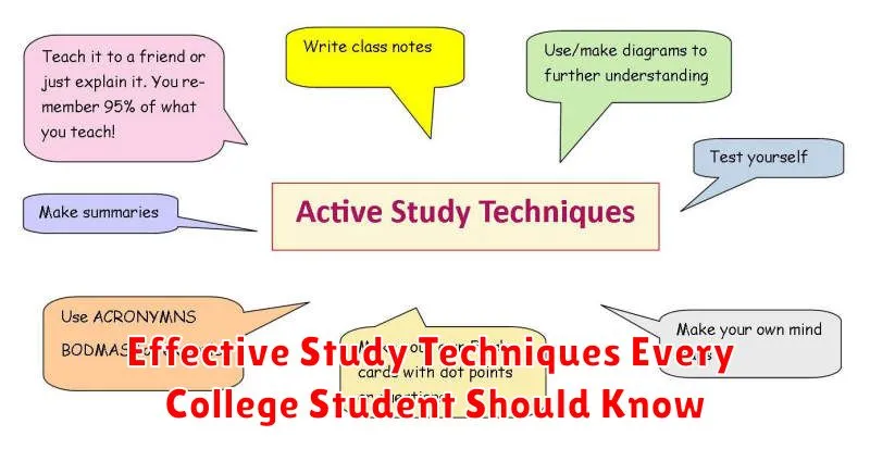 Effective Study Techniques Every College Student Should Know